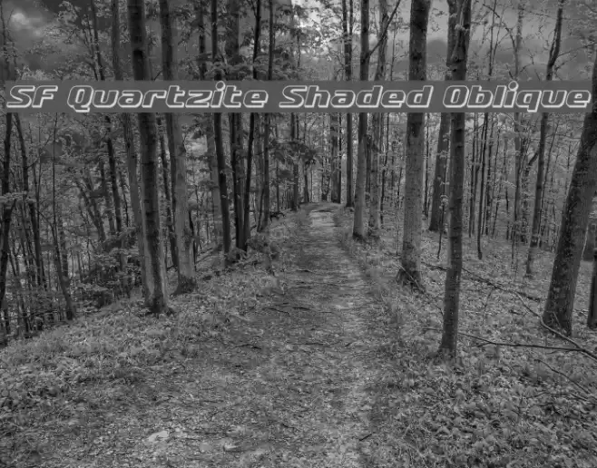 SF Quartzite Shaded Oblique Font examples