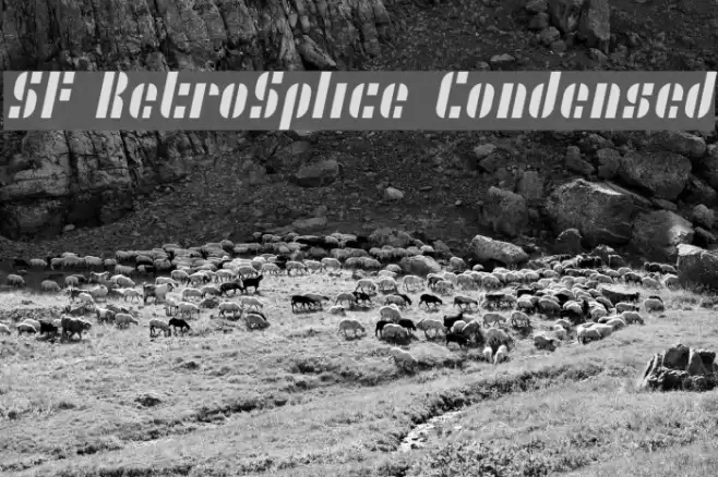SF RetroSplice Condensed Font examples