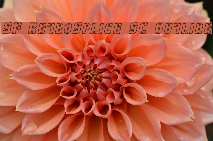 SF RetroSplice SC Outline Font examples