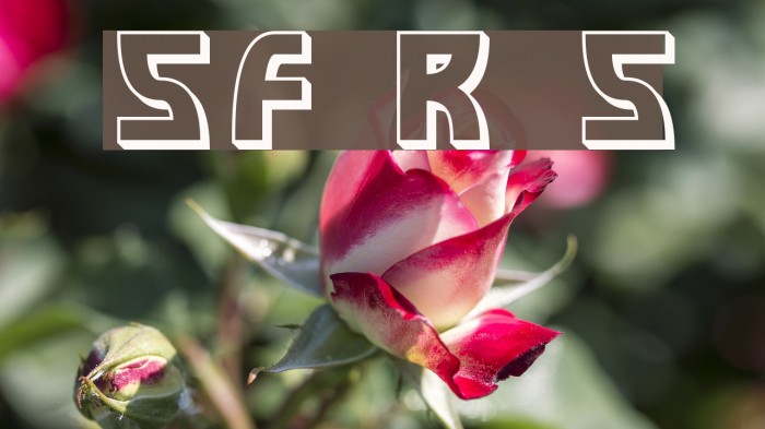 SF Retroesque Shaded Font examples
