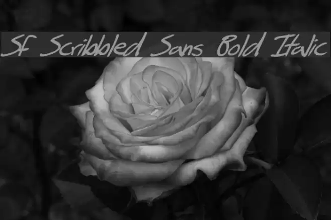 SF Scribbled Sans Bold Italic Schriftart examples