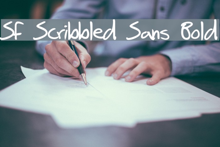 SF Scribbled Sans Bold Font examples