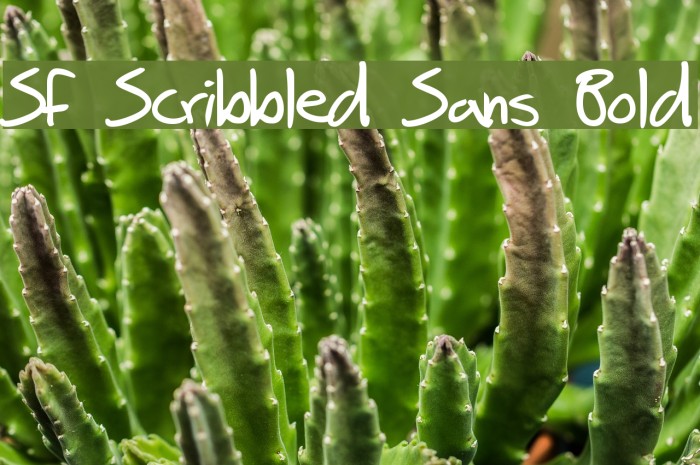 SF Scribbled Sans Bold Font examples