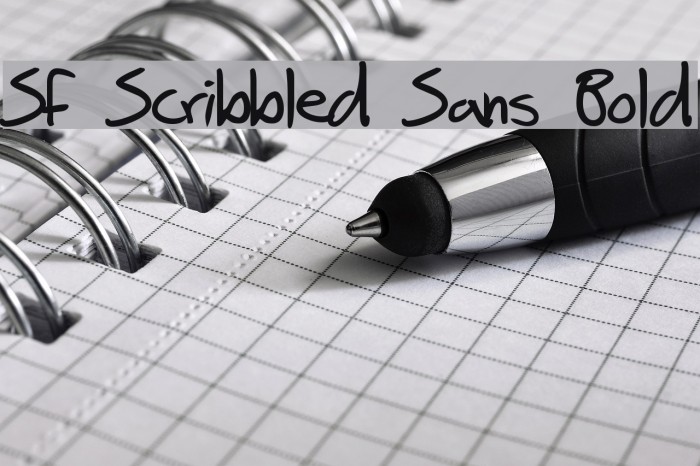 SF Scribbled Sans Bold Font examples