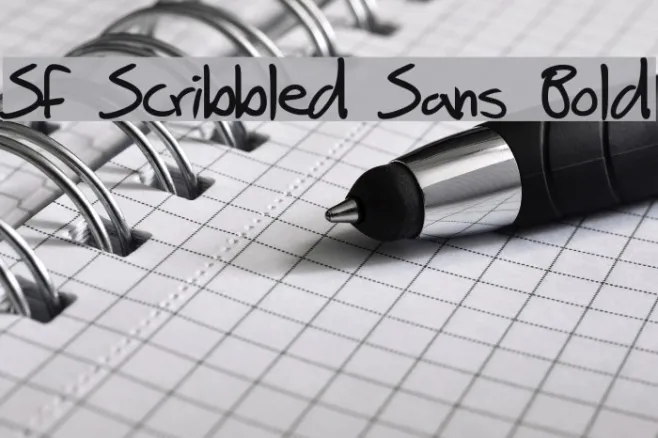 SF Scribbled Sans Bold Example 3