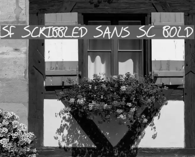 SF Scribbled Sans SC Bold Font examples