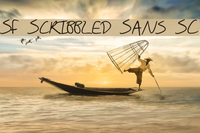 SF Scribbled Sans SC Font examples