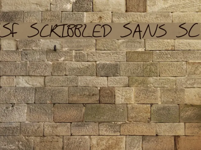 SF Scribbled Sans SC Example 3