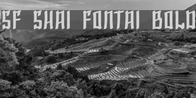 SF Shai Fontai Bold Font examples