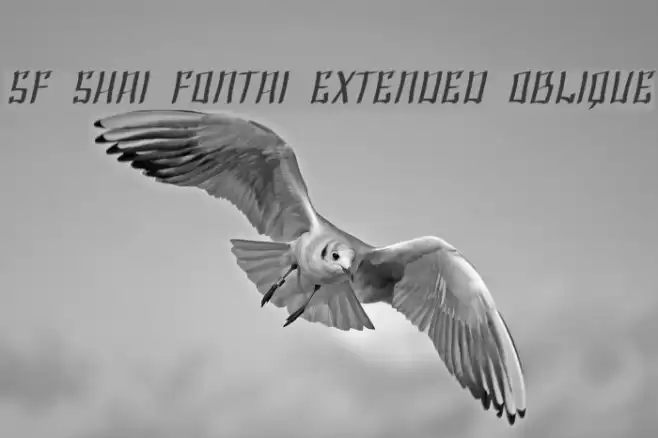 SF Shai Fontai Extended Oblique Font examples