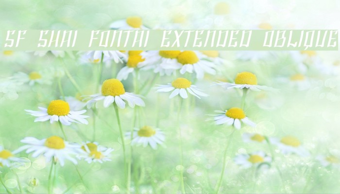 SF Shai Fontai Extended Oblique Font examples