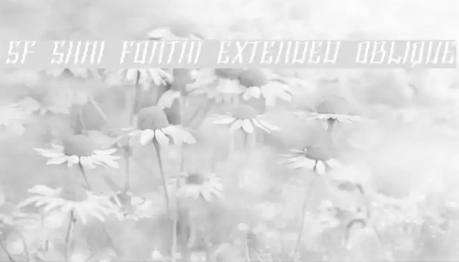 SF Shai Fontai Extended Oblique Font examples