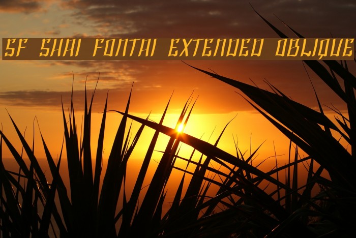 SF Shai Fontai Extended Oblique Font examples