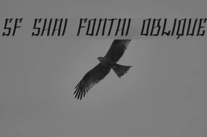 SF Shai Fontai Oblique Fonte examples