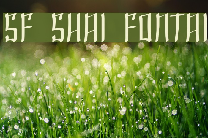 SF Shai Fontai Font examples