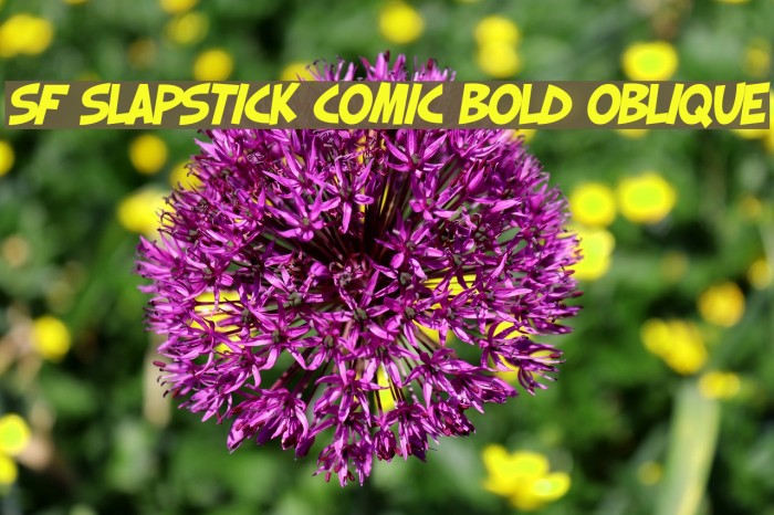 SF Slapstick Comic Bold Oblique Font examples