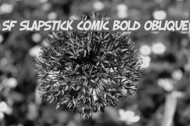 SF Slapstick Comic Bold Oblique Шрифта examples