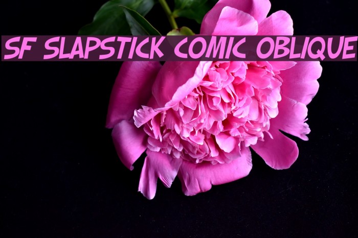 SF Slapstick Comic Oblique Шрифта examples