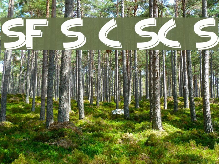 SF Slapstick Comic SC Shaded Font examples