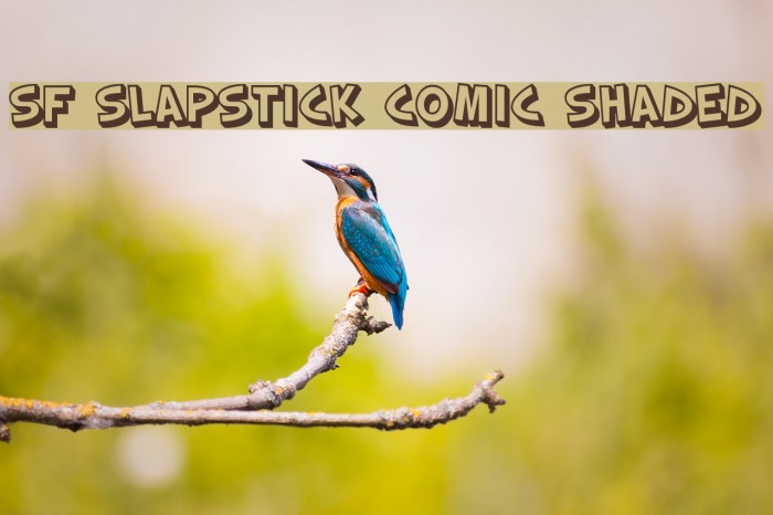 SF Slapstick Comic Shaded Font examples