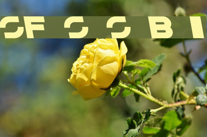 SF Solar Sailer Bold Italic Font examples