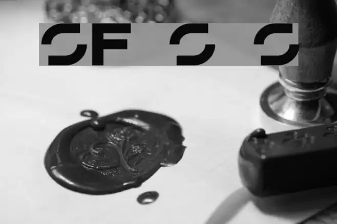 SF Solar Sailer Polices examples