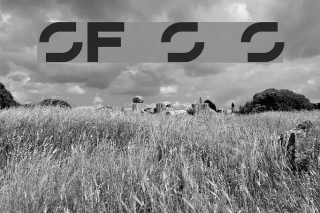 SF Solar Sailer Polices examples