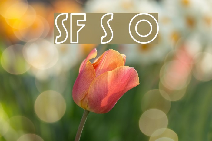 SF Speakeasy Outline Font examples