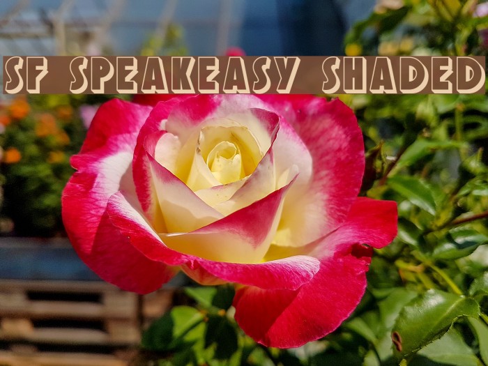 SF Speakeasy Shaded Font examples