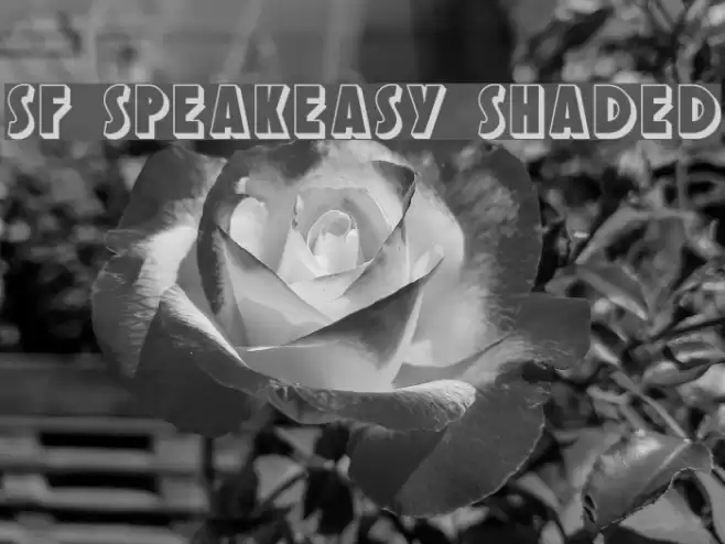 SF Speakeasy Shaded Caratteri examples