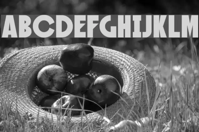 SF Speakeasy Font examples