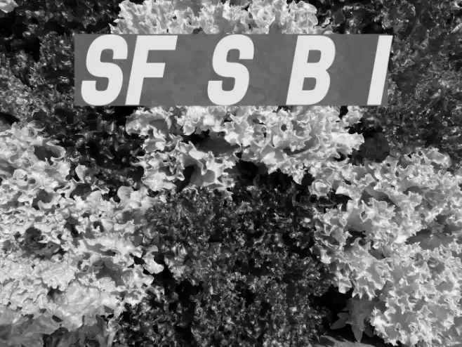 SF Speedwaystar Bold Italic Font examples