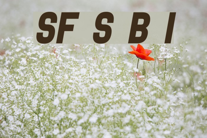 SF Speedwaystar Bold Italic Example 2