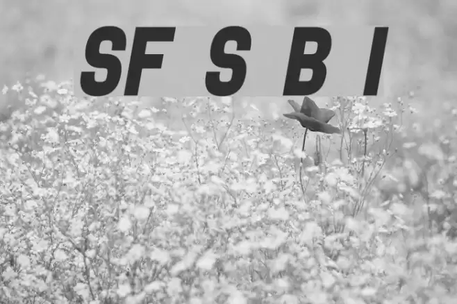 SF Speedwaystar Bold Italic Font examples