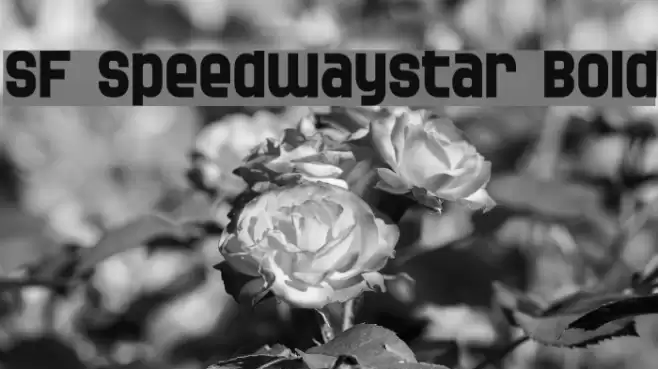 SF Speedwaystar Bold Font examples