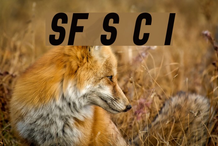 SF Speedwaystar Cond Italic Font examples