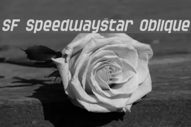SF Speedwaystar Oblique Schriftart examples
