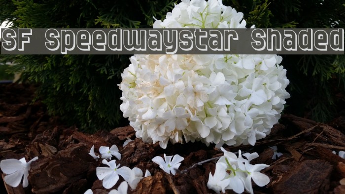 SF Speedwaystar Shaded Font examples