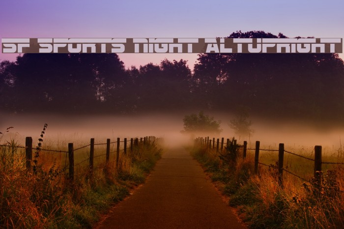 SF Sports Night AltUpright フォント examples