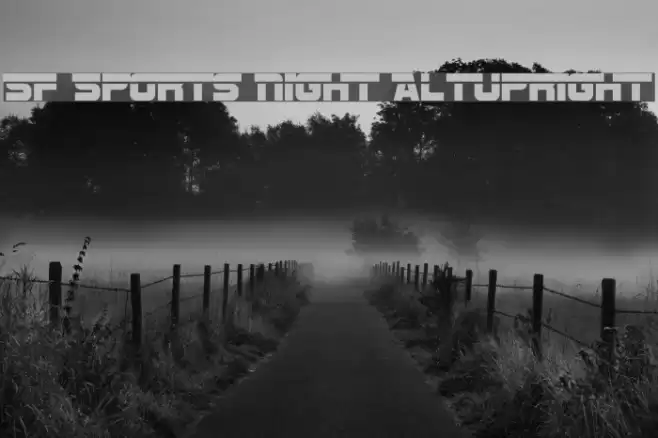 SF Sports Night AltUpright Font examples