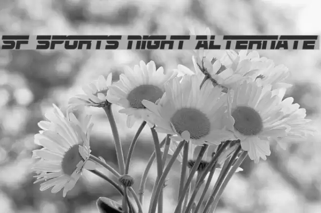 SF Sports Night Alternate Font examples