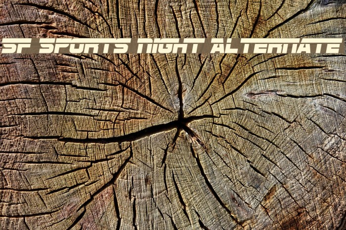 SF Sports Night Alternate フォント examples