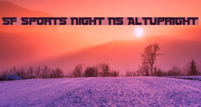 SF Sports Night NS AltUpright Font examples