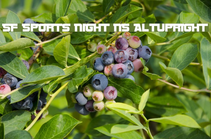 SF Sports Night NS AltUpright Font examples