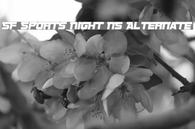SF Sports Night NS Alternate Font examples