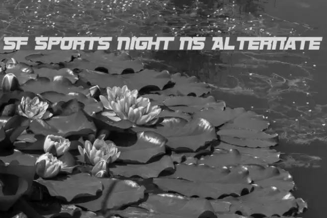 SF Sports Night NS Alternate Font examples