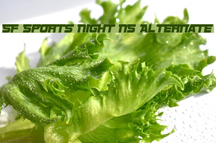SF Sports Night NS Alternate フォント examples
