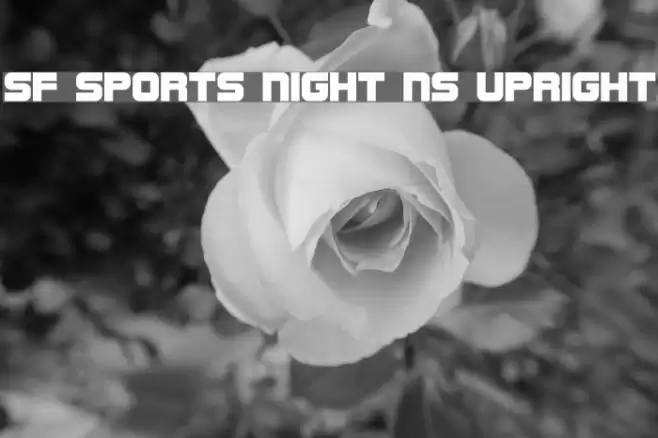 SF Sports Night NS Upright Schriftart examples