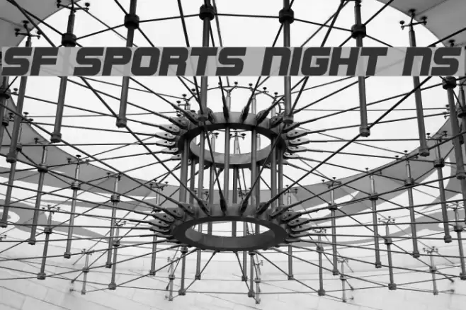 SF Sports Night NS Font examples