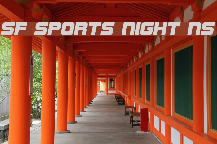 SF Sports Night NS フォント examples